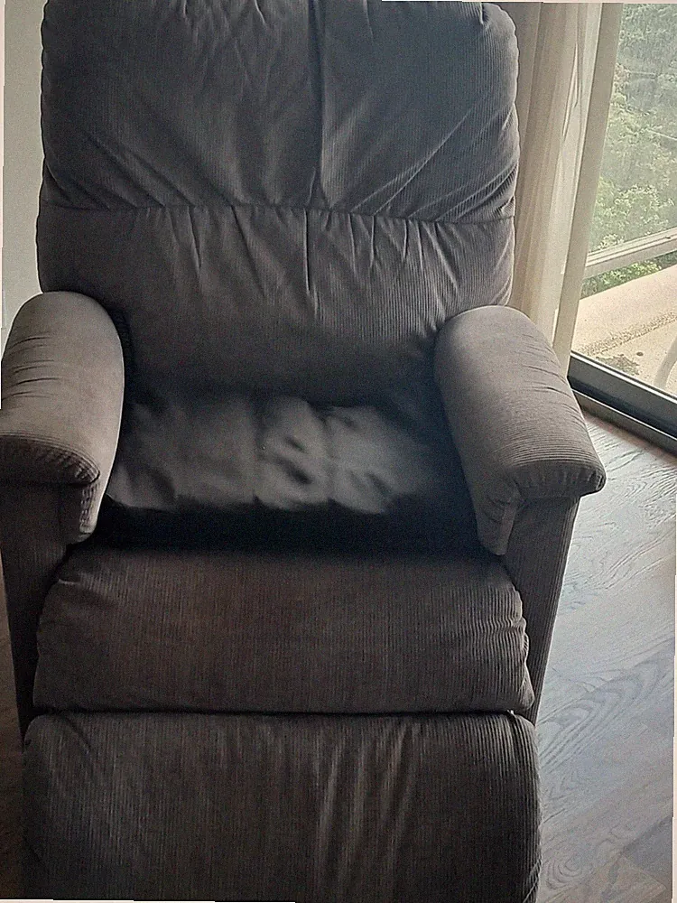 Evolur Power Recliner